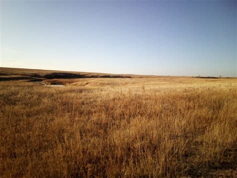 E-mail thedalesunitedwireless. . Pasture for rent in kansas